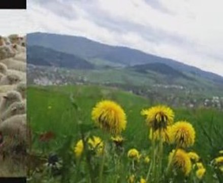 Zakochany Góral - Góralskie