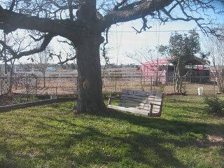 Horse property in Bastrop County Texas