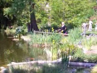 03 mai 09 Jardin plantes