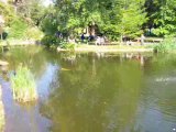 Jardin des plantes