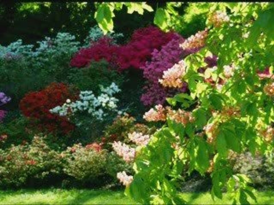 Rombregpark in Dortmund