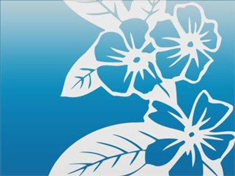 THE BEST DANCEFLOOR du moment été 2009 mixé par dj x-fry