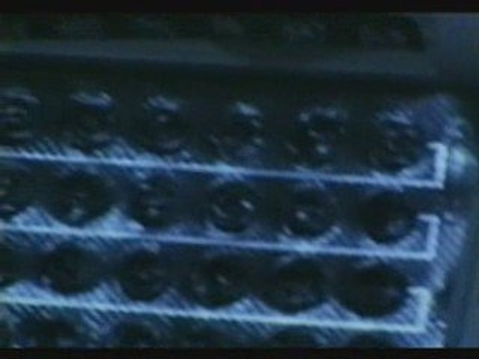 Marilyn Manson - Dead to the world (partie5)