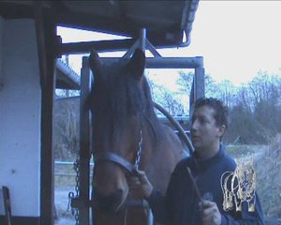 L'avis du maréchal (Interview de Redouane Ennouni)