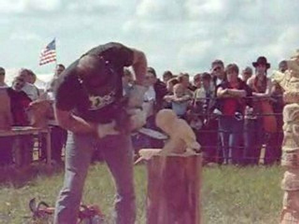 VALDIVIENNE - Fête du bison 2009 - Sculptures tronçoneuse