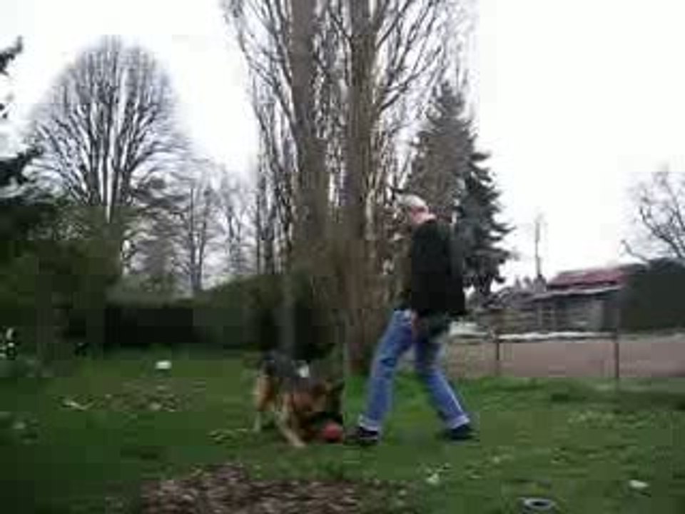 jeux de ballon