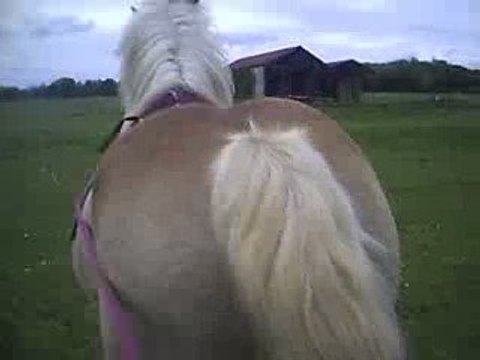 Café aux Longues Rênes 2