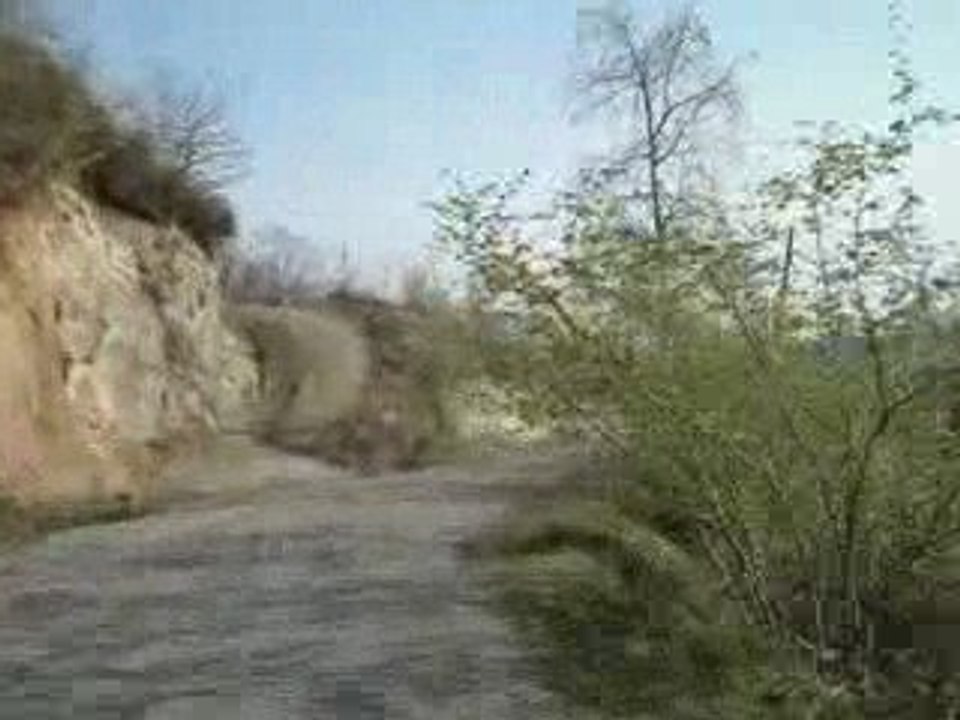 Bahardaarsine1