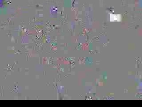 Art Collecting Delaware Valley | Fine Art Consulting PA