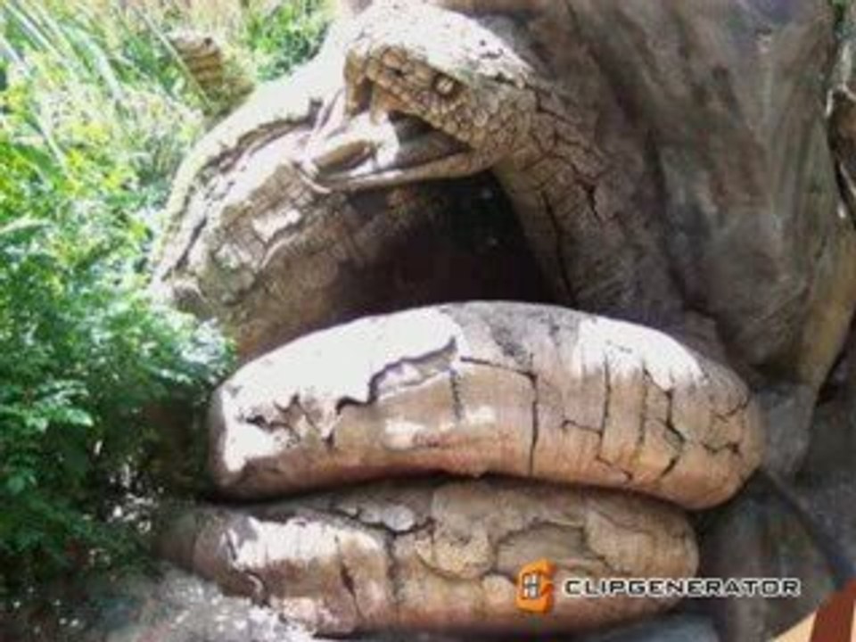 Animals Tree