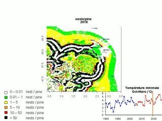 Progression actuelle et future de la processionnaire du pin