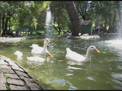 ankaranın bebegi eyüp öztekin