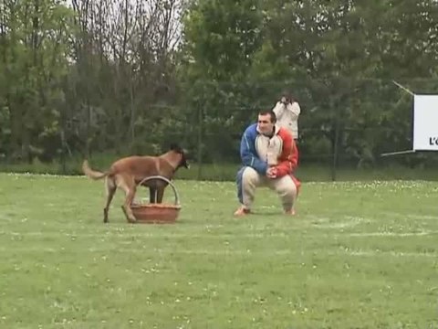 Aurane de Malfosse sélectifs Ring 2009 juryC LaNeuvillette