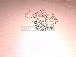 H1N1 FLU VIRUS MUTATION