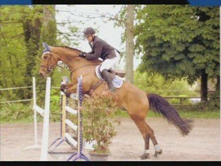 Montage Bernières Mai 2009