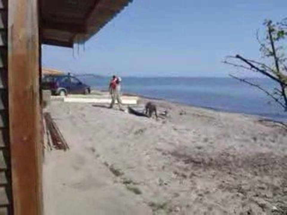Remise en état des accès à la plage