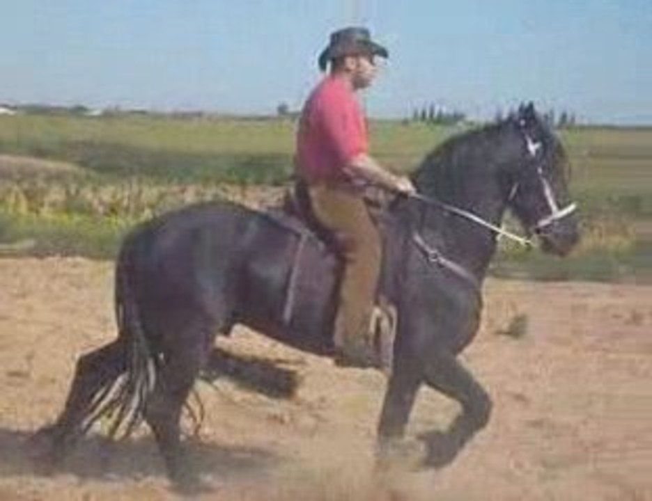 Frison Kalou Maroc