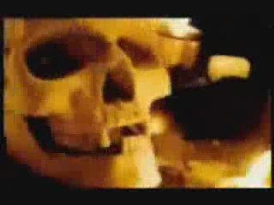 Skull & bones - illuminatis - New World Order - Obama/Bush ?