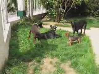 Daicko et Titou mai 2009