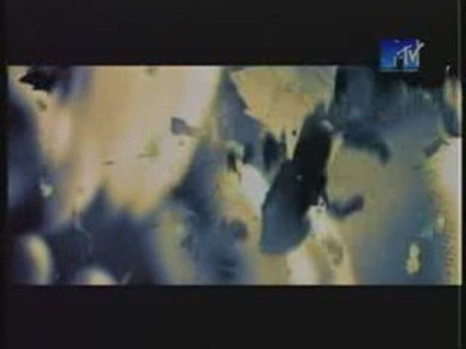 7Б - Молодые ветра