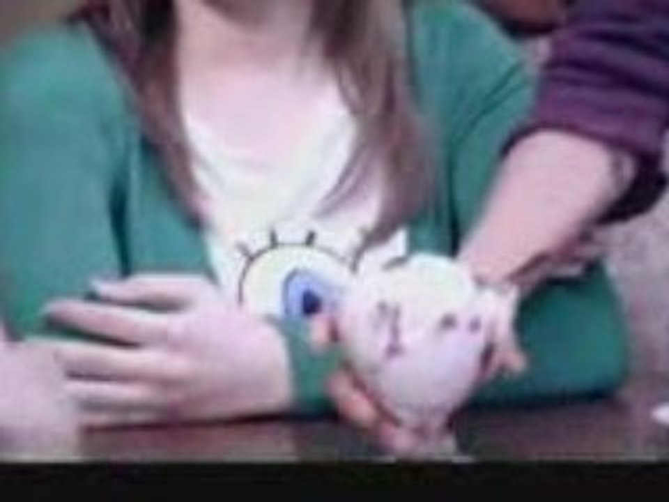 Gorod 312 - Nevidimka