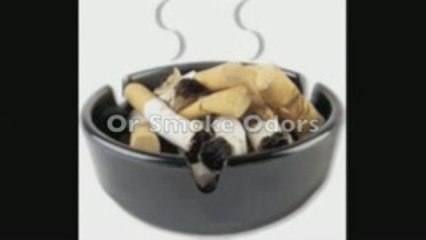 Air Oasis Air Purifier: Effective Solution for Mold, Bacteria, Viruses, and Odors