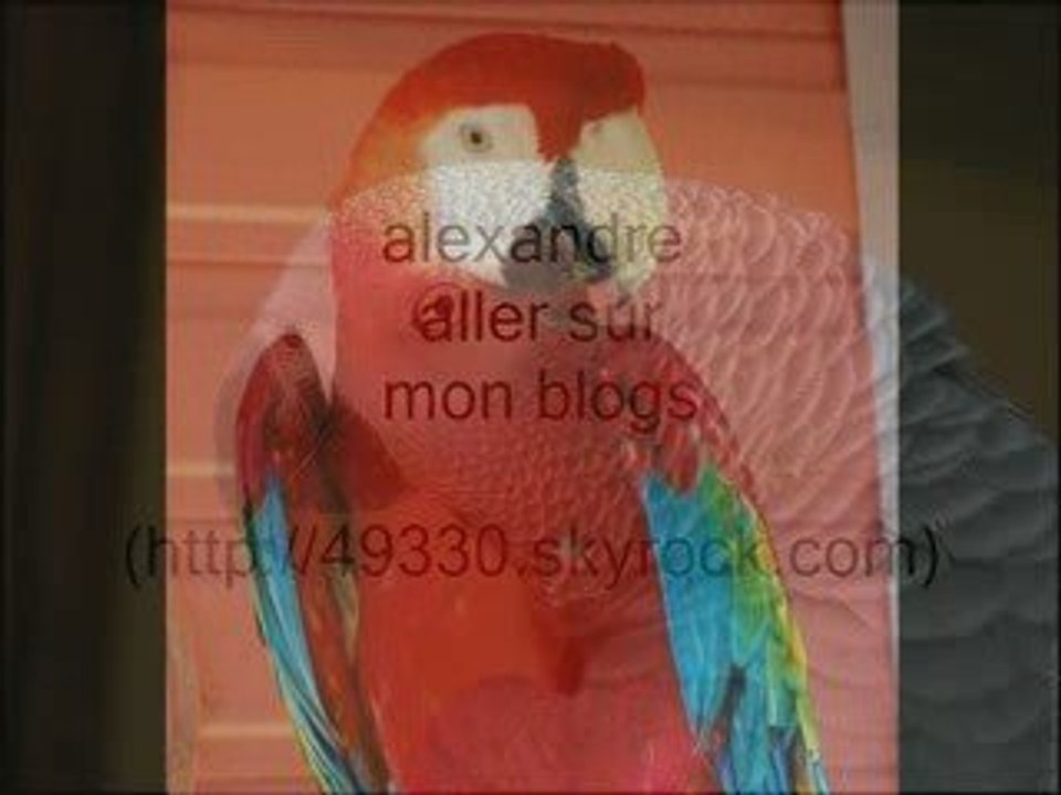 aller sur mon blogs musique