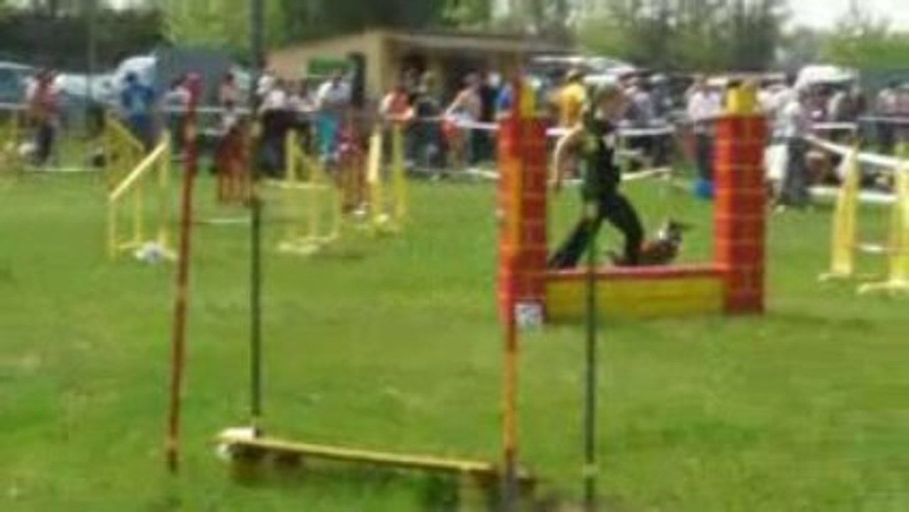 Jumping tess