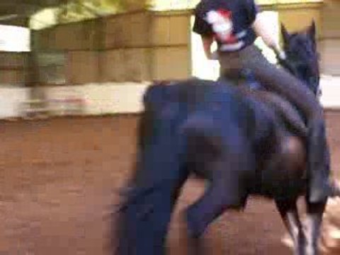 Galop faux