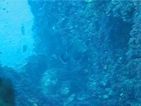 Athos Diving Center Ouranoupoli Halkidiki