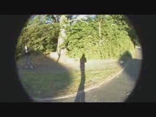 Beyong the Dying light - Freebord short