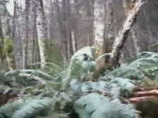 More Downhill Cable Cam footy: Chris on Mt.Prevost