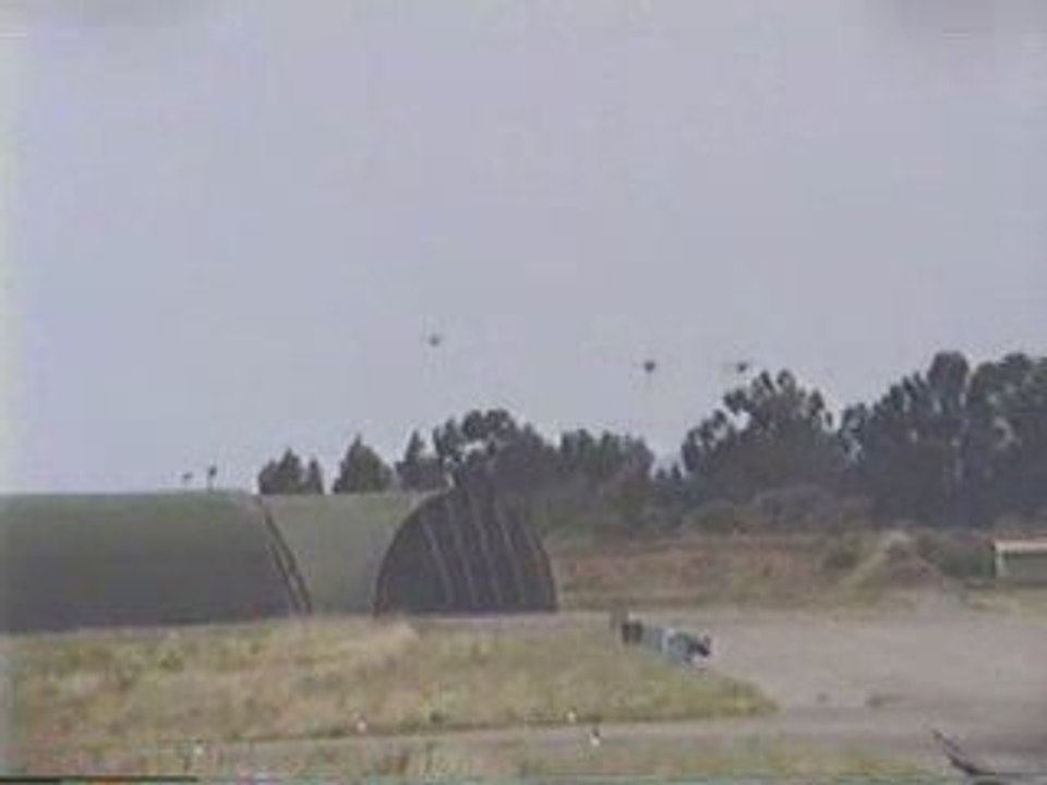 Au raz des paquerettes