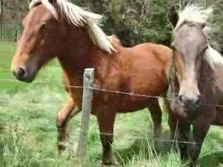 Queyrieres 04 09 003