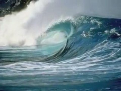 AMOUR LOVE TENDRESSE