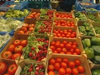 Chocolate powered racing car