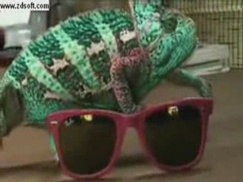 سبحانك ما خلقت شيئا عبثا-تقدمة الشيخ طلال البسيوني