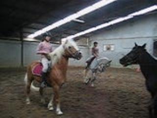 horse ball