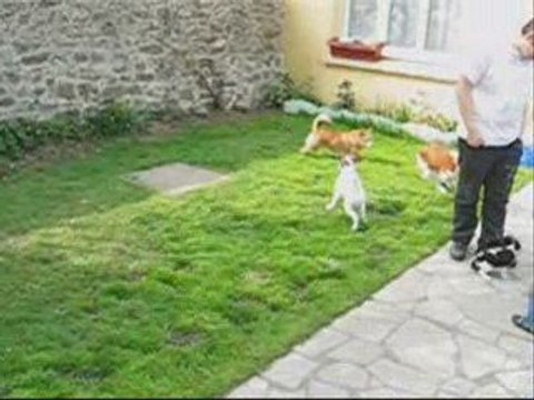 Vacances avril 2009 -1 version 2