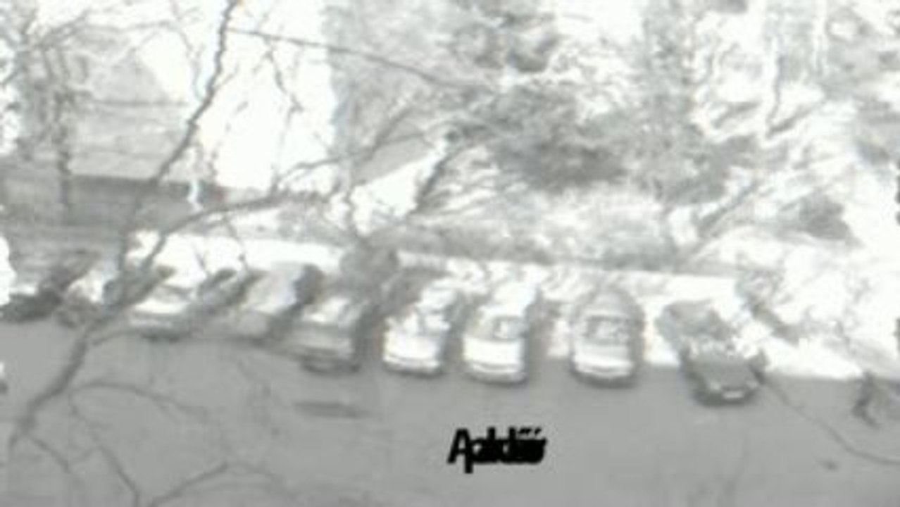 Teslár Ákos - Nehézkutya