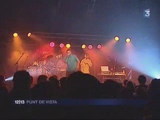 Reportatge Punt de vista a Pau qu'ei e qu'ei a Pau 2009