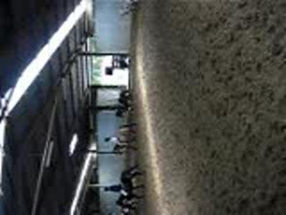horse ball