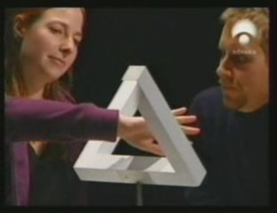 Cerebro: Percepcion