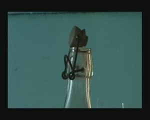 BEAUDUC   NACI EN ALAMO