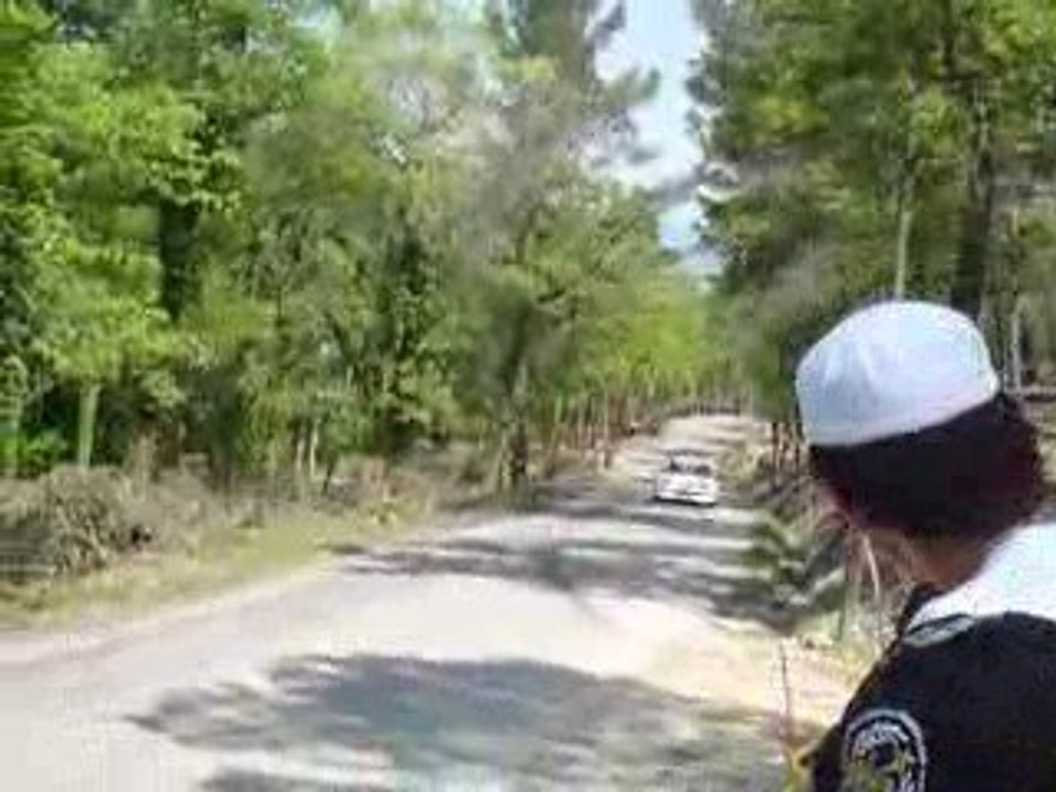 manta melchiori