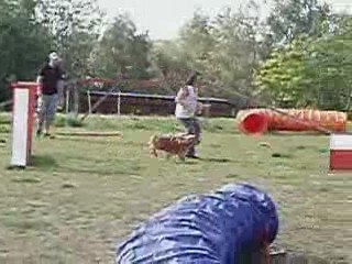 Training agility 19. 5. 09 - Advanced