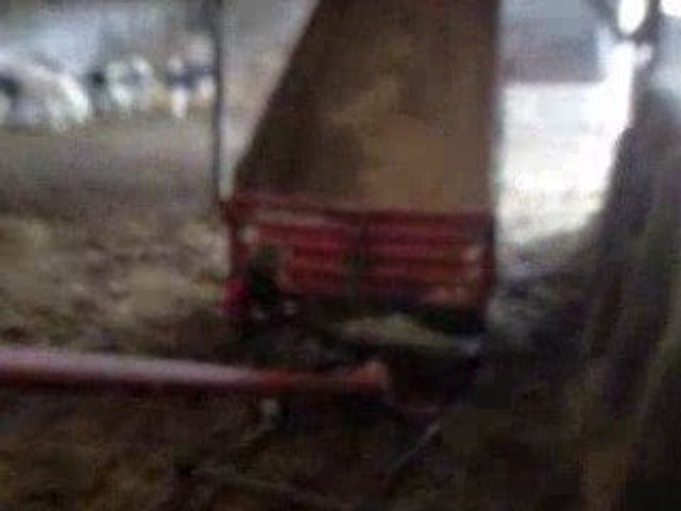 transevasion de grain avec la vis acemo et la brigant 14 t