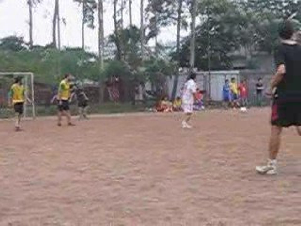 Foot roots 036 robin save