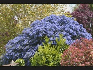 Belle Rando 2009 : Décathlon Caen Côte de Nacre