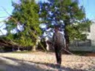 King of the Kings 😂